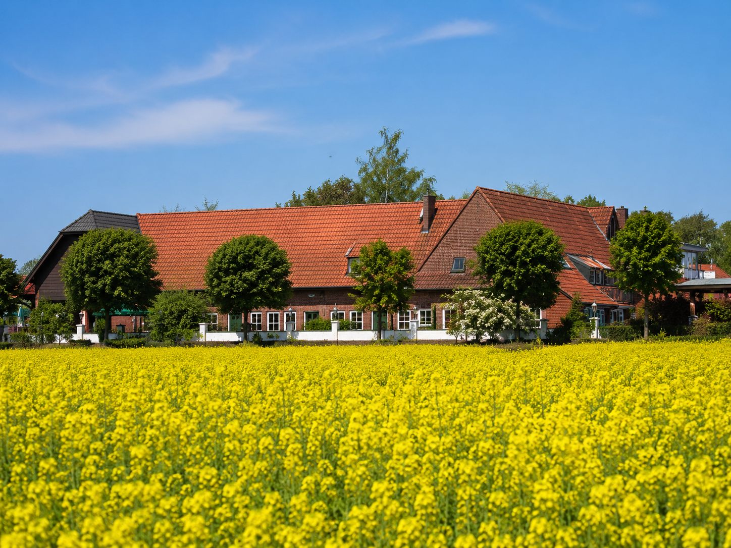 Feiern & Hochzeiten